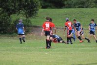 Endeavour Gala Day – U13s – Endeavour v Illawarra