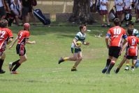 Endeavour Gala Day – u13s – Endeavour v Hunter
