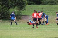 Endeavour Gala Day – U13s – Endeavour v Illawarra