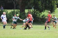 Endeavour Gala Day – u13s – Endeavour v Hunter