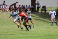 Endeavour Gala Day – u13s – Endeavour v Hunter