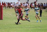 Endeavour Gala Day – u13s – Endeavour v Hunter