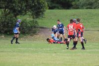 Endeavour Gala Day – U13s – Endeavour v Illawarra