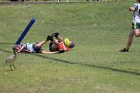 Endeavour Gala Day – u13s – Endeavour v Hunter