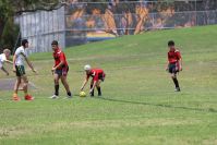 Endeavour Gala Day – u14s – Endeavour v Hunter