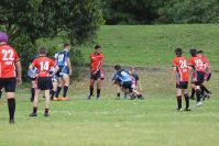 Endeavour Gala Day – U13s – Endeavour v Illawarra