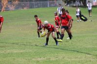 Endeavour Gala Day – u14s – Endeavour v Hunter
