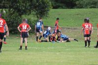 Endeavour Gala Day – U13s – Endeavour v Illawarra
