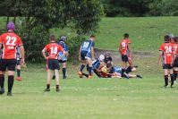 Endeavour Gala Day – U13s – Endeavour v Illawarra