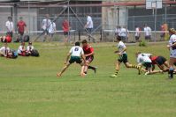 Endeavour Gala Day – u14s – Endeavour v Hunter