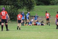 Endeavour Gala Day – U13s – Endeavour v Illawarra