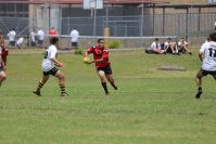 Endeavour Gala Day – u14s – Endeavour v Hunter