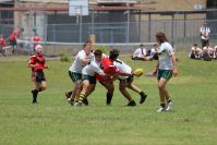 Endeavour Gala Day – u14s – Endeavour v Hunter
