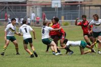 Endeavour Gala Day – u14s – Endeavour v Hunter