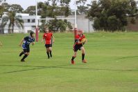 Endeavour Gala Day – U13s – Endeavour v Illawarra