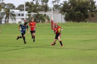 Endeavour Gala Day – U13s – Endeavour v Illawarra