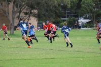 Endeavour Gala Day – U13s – Endeavour v Illawarra