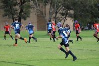 Endeavour Gala Day – U13s – Endeavour v Illawarra