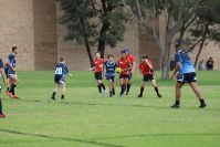 Endeavour Gala Day – U13s – Endeavour v Illawarra
