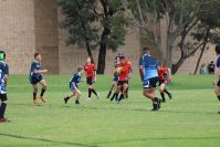 Endeavour Gala Day – U13s – Endeavour v Illawarra
