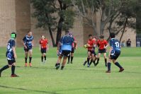 Endeavour Gala Day – U13s – Endeavour v Illawarra