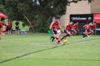 Endeavour Gala Day – U14s – Endeavour v Illawarra