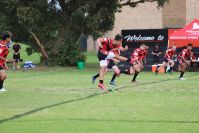 Endeavour Gala Day – U14s – Endeavour v Illawarra