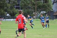 Endeavour Gala Day – U14s – Endeavour v Illawarra