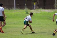 Endeavour Gala Day – u15s – Endeavour v Hunter
