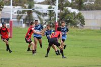 Endeavour Gala Day – U14s – Endeavour v Illawarra