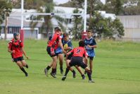 Endeavour Gala Day – U14s – Endeavour v Illawarra
