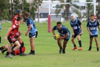 Endeavour Gala Day – U14s – Endeavour v Illawarra