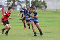 Endeavour Gala Day – U14s – Endeavour v Illawarra