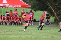 Endeavour Gala Day – U14s – Endeavour v Illawarra