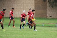 Endeavour Gala Day – U14s – Endeavour v Illawarra
