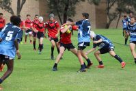Endeavour Gala Day – U14s – Endeavour v Illawarra