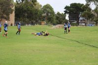 Endeavour Gala Day – U14s – Endeavour v Illawarra