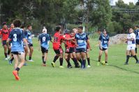 Endeavour Gala Day – U14s – Endeavour v Illawarra