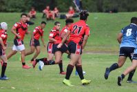 Endeavour Gala Day – U14s – Endeavour v Illawarra