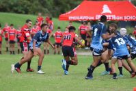 Endeavour Gala Day – U14s – Endeavour v Illawarra