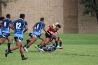Endeavour Gala Day – U14s – Endeavour v Illawarra
