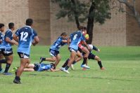 Endeavour Gala Day – U14s – Endeavour v Illawarra