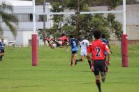 Endeavour Gala Day – U14s – Endeavour v Illawarra
