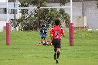 Endeavour Gala Day – U14s – Endeavour v Illawarra