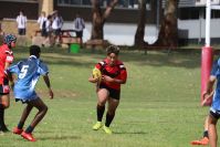 Endeavour Gala Day – U14s – Endeavour v Illawarra