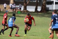 Endeavour Gala Day – U14s – Endeavour v Illawarra