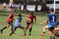 Endeavour Gala Day – U14s – Endeavour v Illawarra