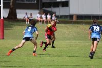 Endeavour Gala Day – U14s – Endeavour v Illawarra