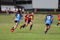 Endeavour Gala Day – U14s – Endeavour v Illawarra