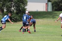 Endeavour Gala Day – U14s – Endeavour v Illawarra
